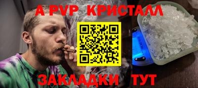 стаф Краснодар