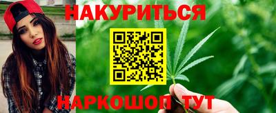 стаф Краснодар