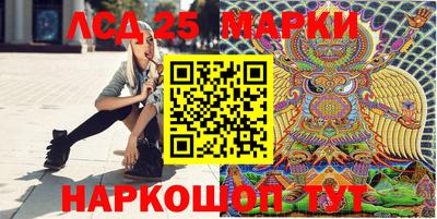 стаф Краснодар