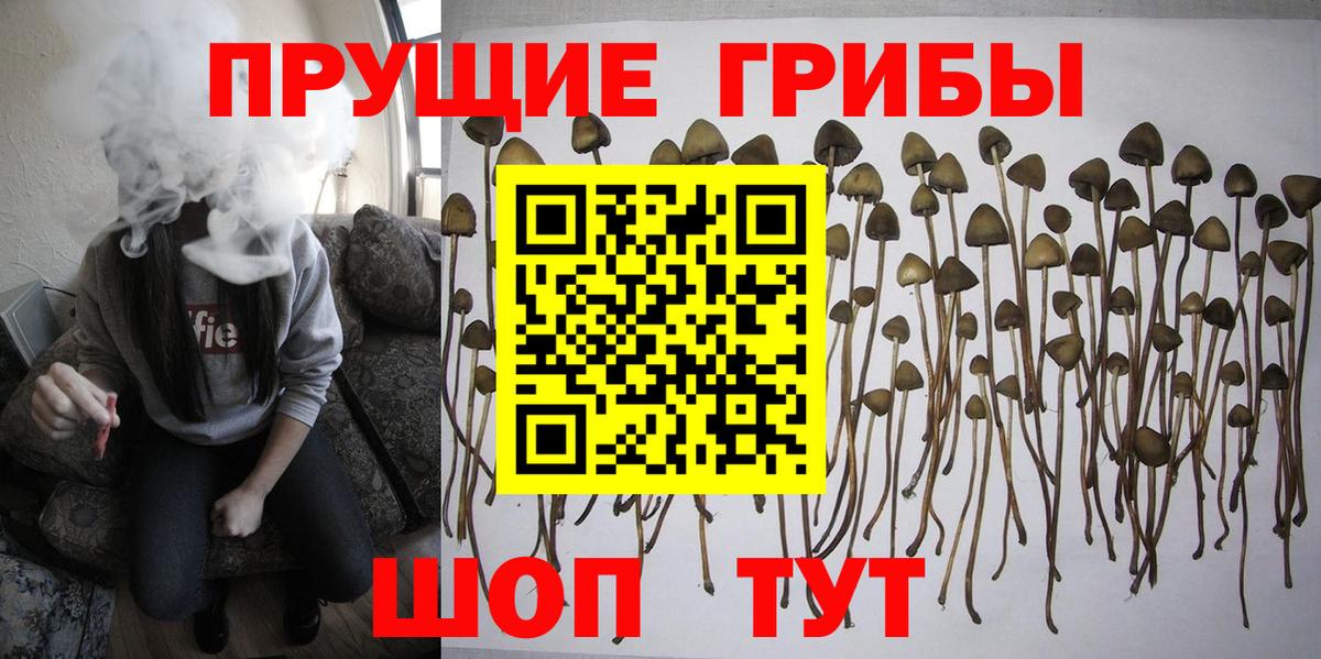 Галлюциногенные грибы Magic Shrooms  Вход с VPN  Еманжелинск  Галлюциногенные грибы прущие грибы 